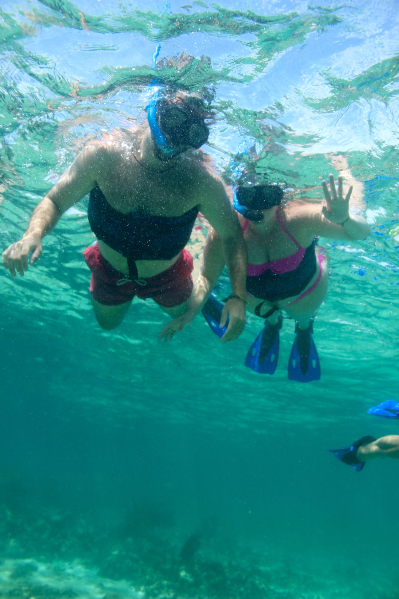 Things to do Playa Del Carmen – Snorkeling