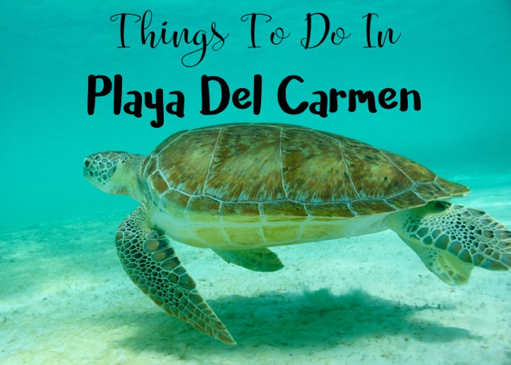 Things To Do In Playa Del Carmen, Mexico