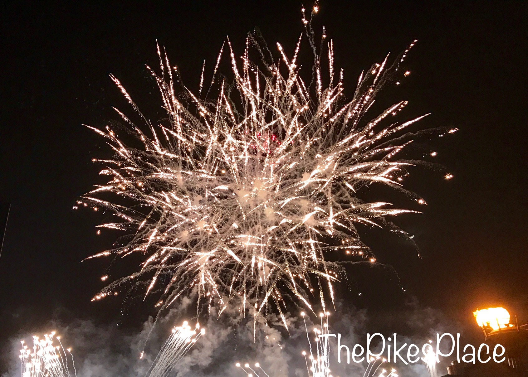 Walt Disney World Fireworks at Epcot