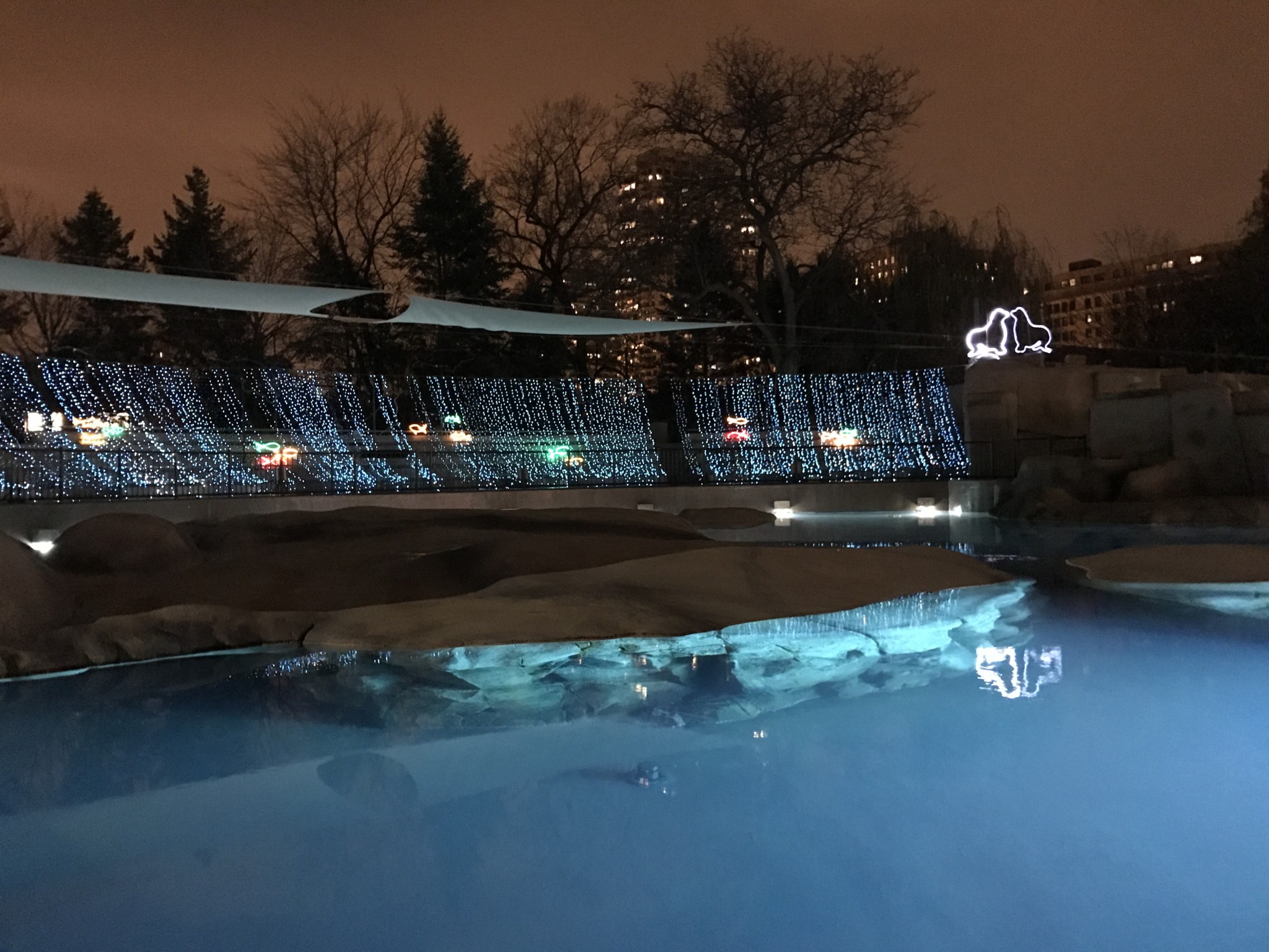Lincoln Park Zoo in Winter