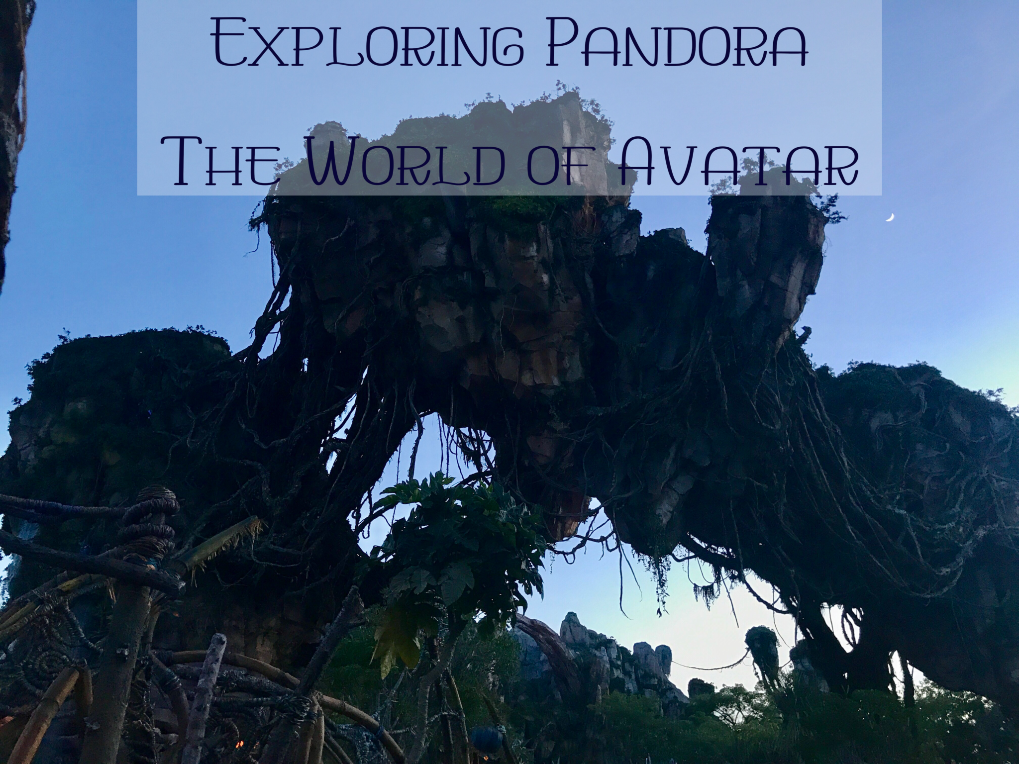 Exploring Disney World’s Pandora
