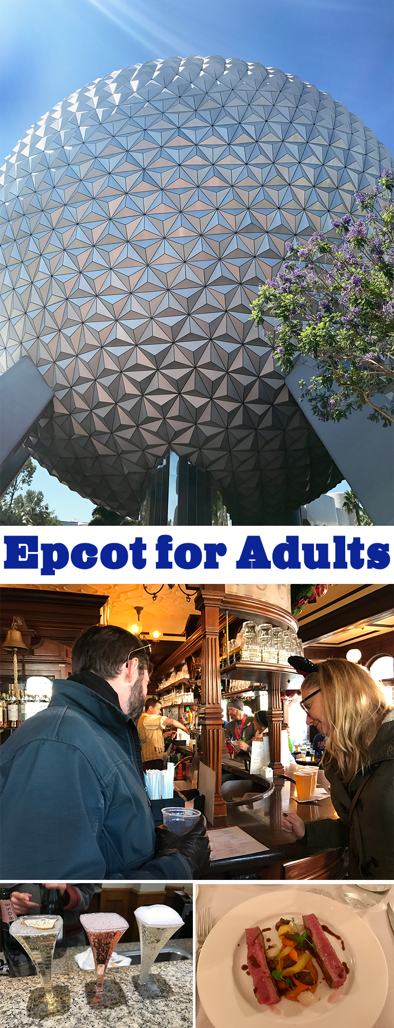 Epcot For Adults